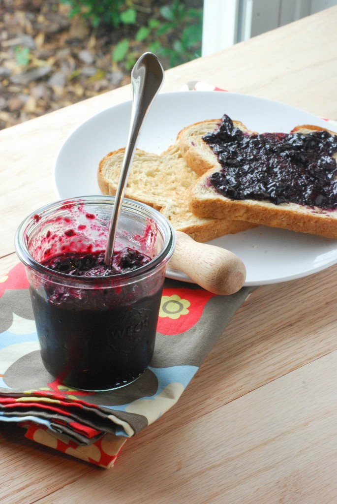 Blueberry Jam (1 of 4)