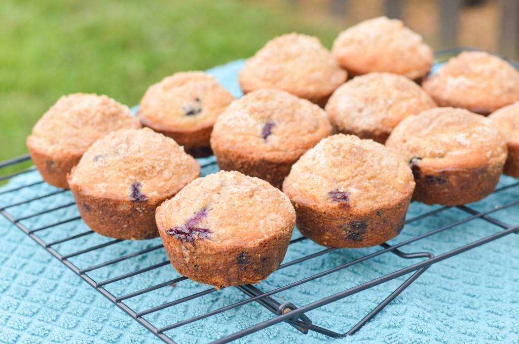 Blueberry Muffins (2 of 6)