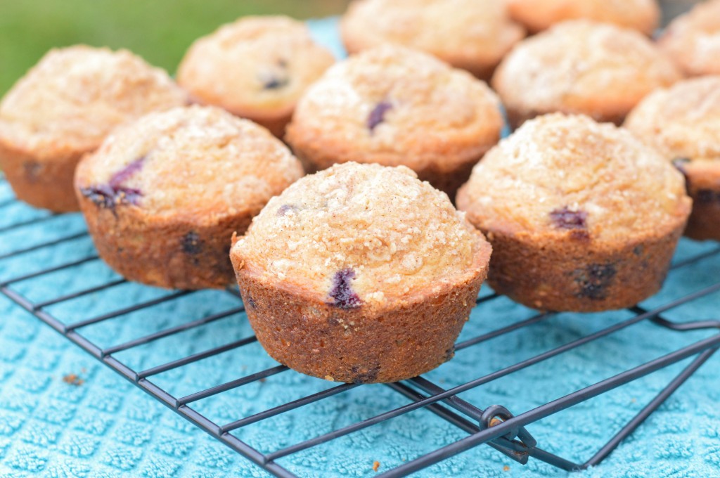Blueberry Muffins (5 of 6)