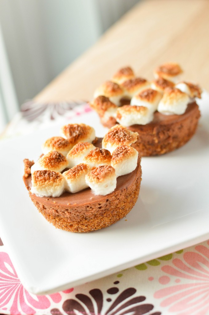 S'mores Cheesecake (9 of 9)