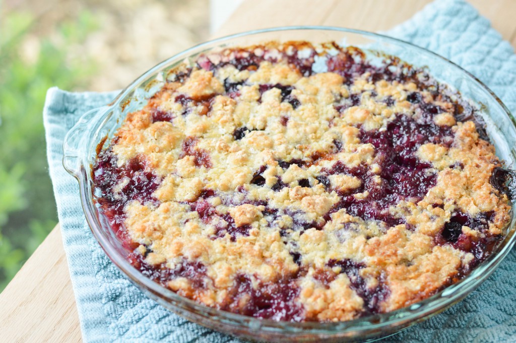 Peach Blueberry Crumble (1 of 7)