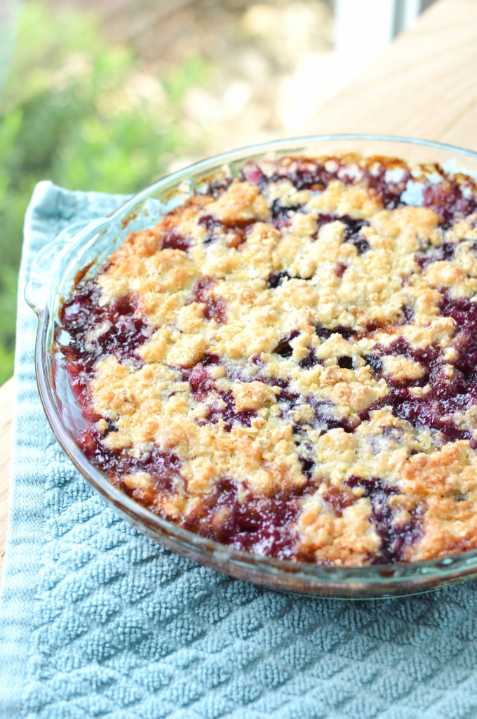 Peach Blueberry Crumble (3 of 7)