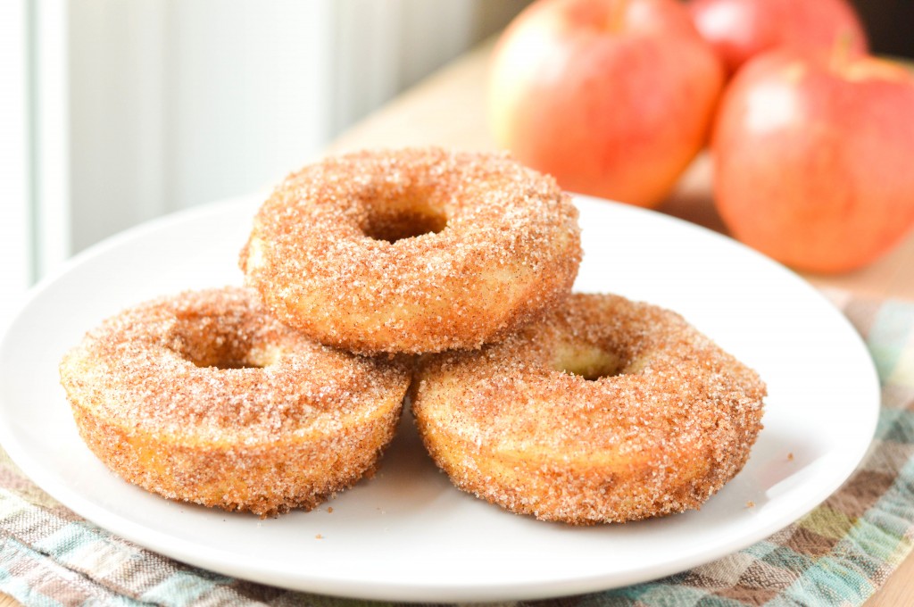 apple cider donuts (6 of 6)