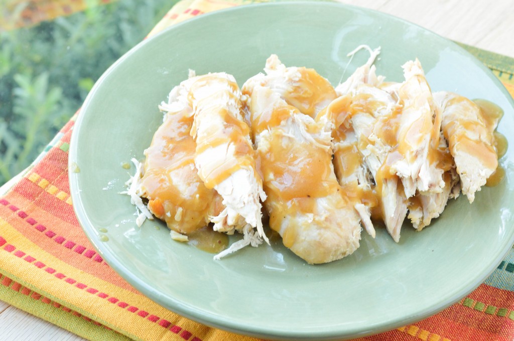 Slow Cooker Turkey Breast (3 of 3)