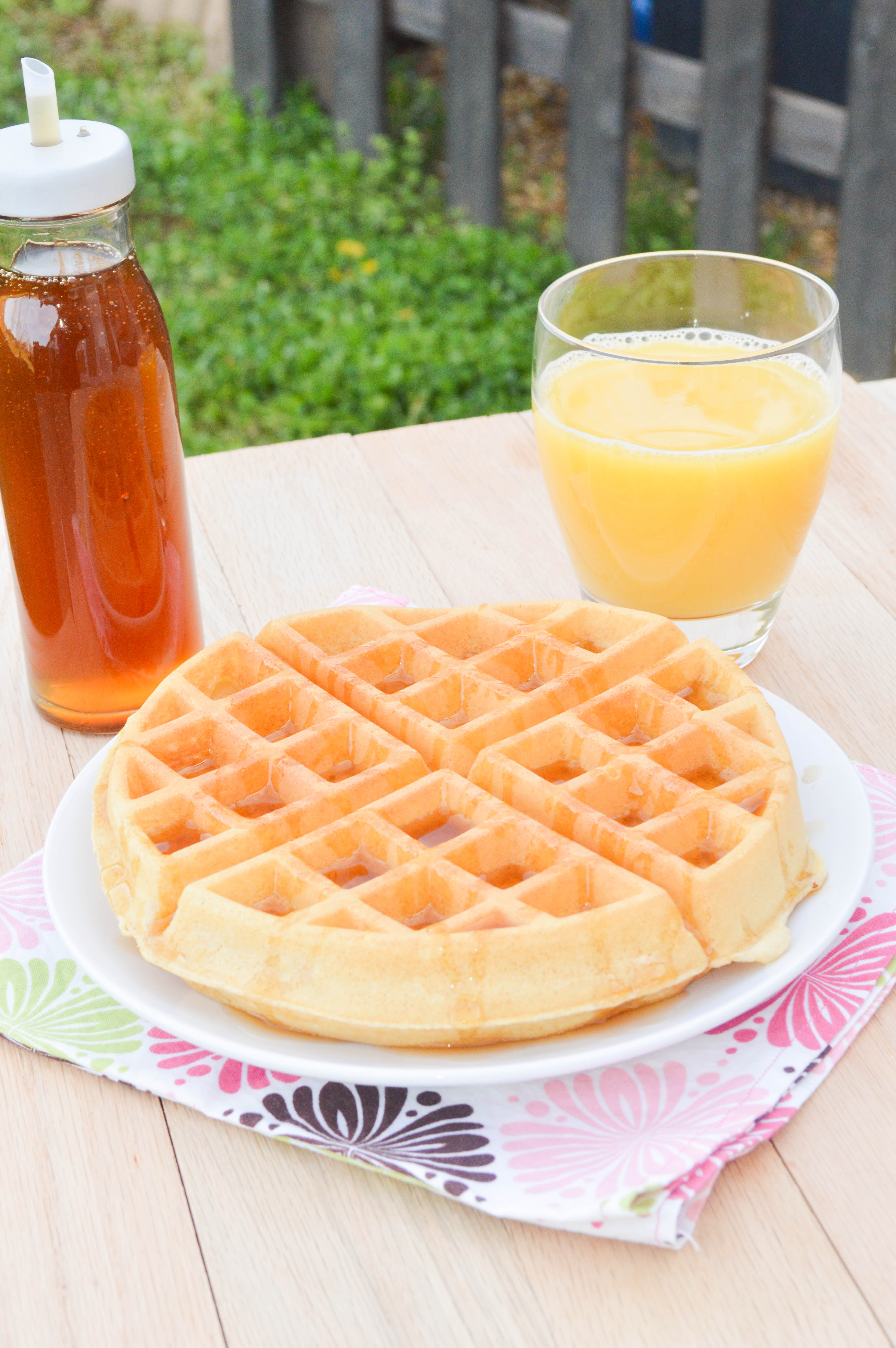 Belgian Waffle Mix (1 of 5)