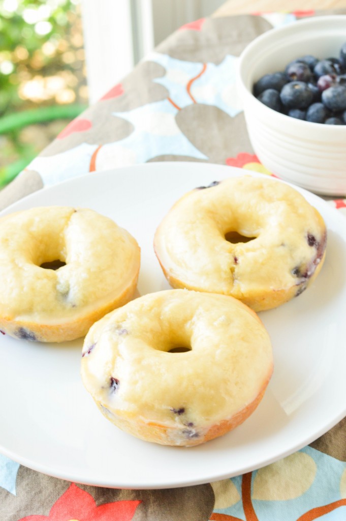 Blueberry Cake Donuts  (5 of 7)