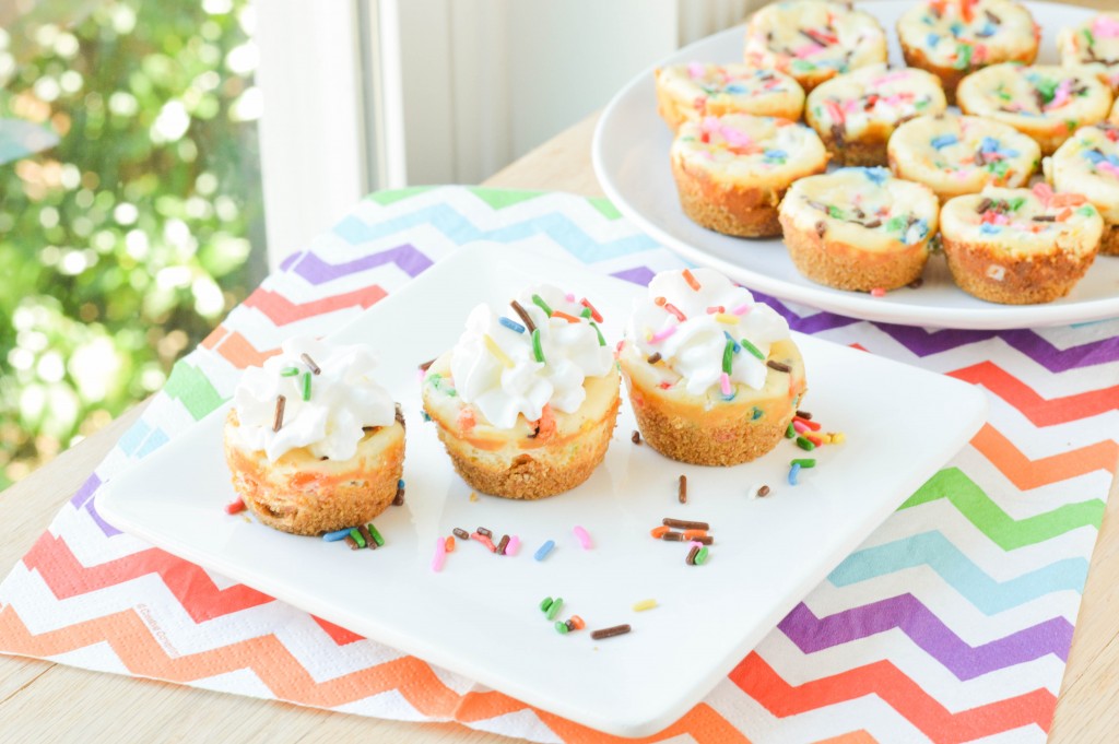 Funfetti Cheesecake Bites (3 of 6)