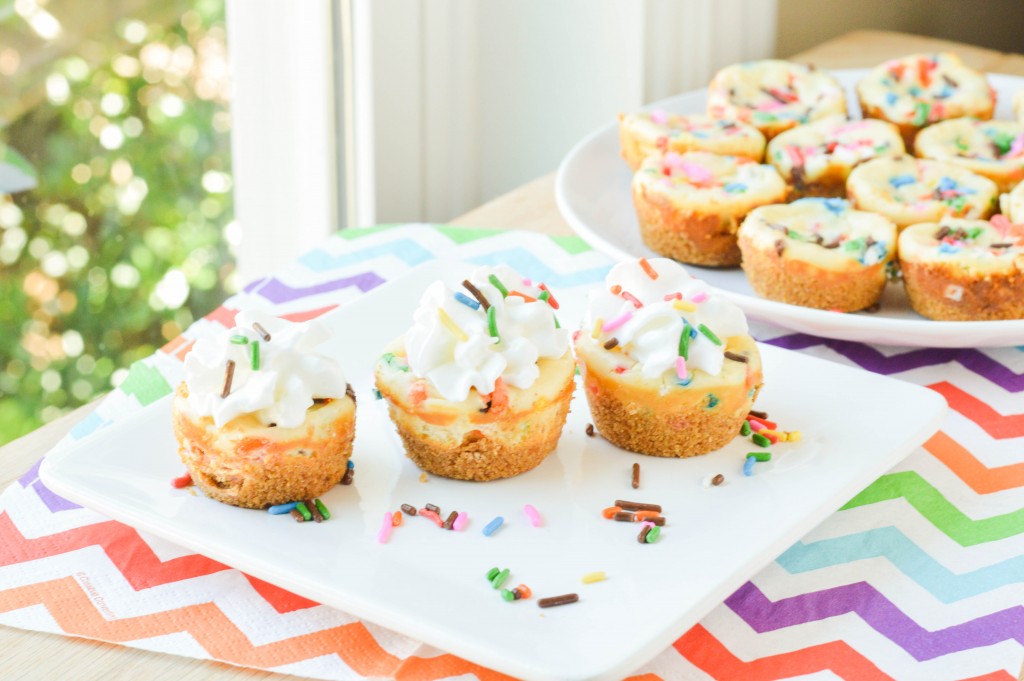 Funfetti Cheesecake Bites (4 of 6)