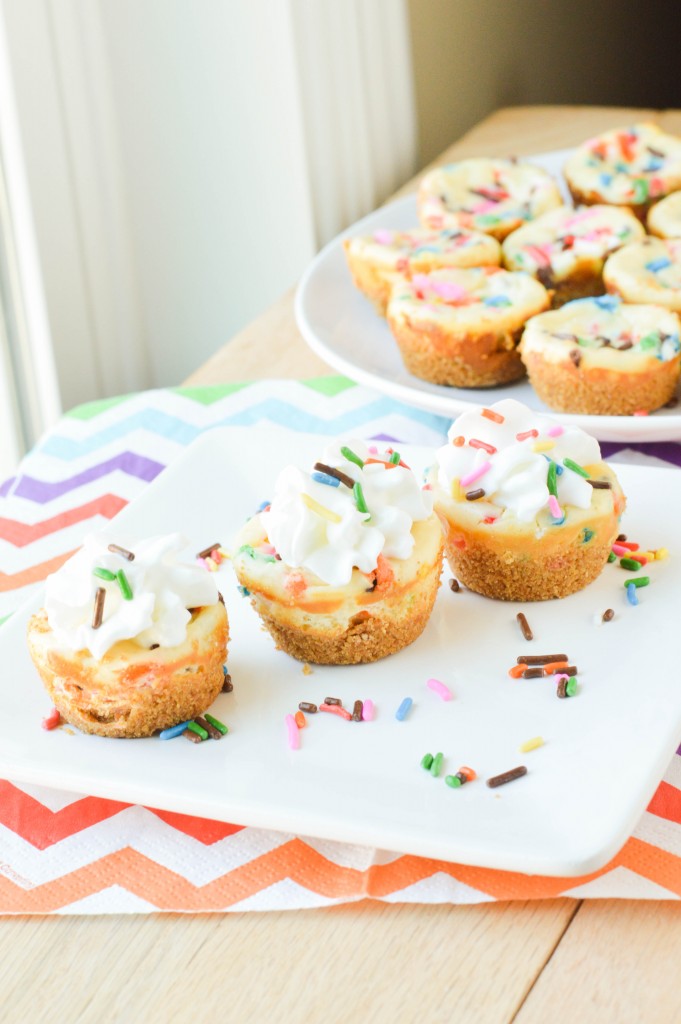 Funfetti Cheesecake Bites (6 of 6)