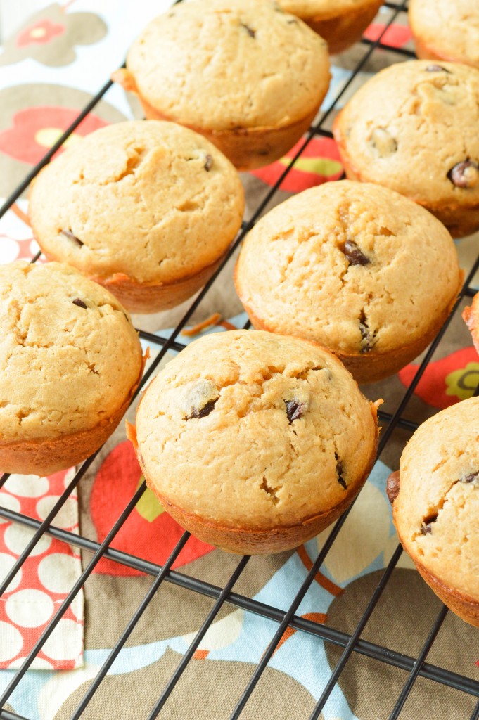 Peanut Butter Chocolate Chip Muffins {Macaroni and Cheesecake} 