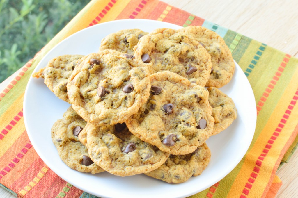 Chewy Pumpkin Chocolate Chip Cookies {Macaroni and Cheesecake} 