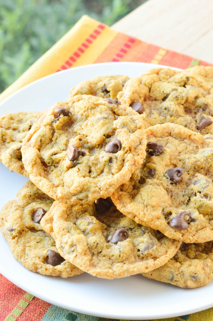 Chewy Pumpkin Chocolate Chip Cookies {Macaroni and Cheesecake} 