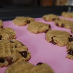 Peanut Butter Chocolate Chip Cookies