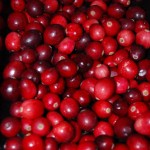 Cranberry Sauce