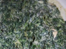 Creamed Spinach Gratin