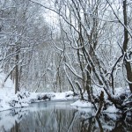 Lighter Chicken Parmesan