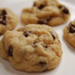 100 Calorie Pack Cookies