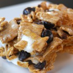 Golden Graham S’more Bars