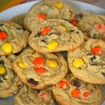 Peanut Butter Chocolate Chip Pudding Cookies