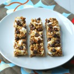 Chewy S’mores Granola Bars