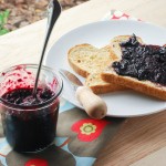 Easy Blueberry Jam: No Canning Equipment Required