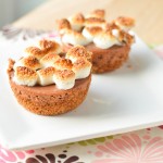 S’mores Mini Cheesecakes