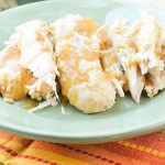 Slow Cooker Turkey Breast