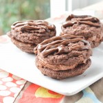 Homemade Fudge Rounds