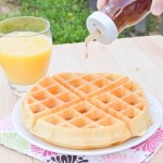 Homemade Belgian Waffle Mix